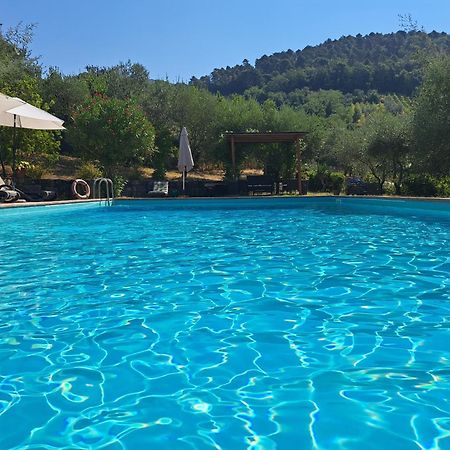 그레베 인 키안티 Agriturismo Poggio All'Olmo 빌라 외부 사진