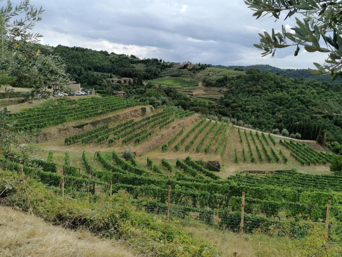 그레베 인 키안티 Agriturismo Poggio All'Olmo 빌라 외부 사진