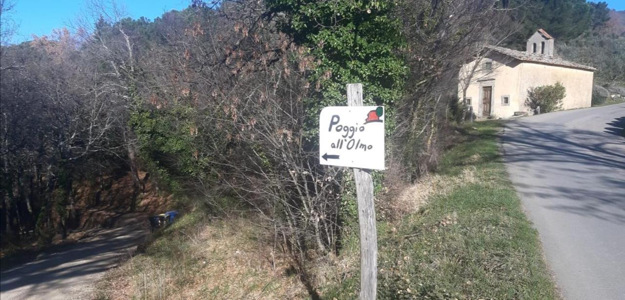 그레베 인 키안티 Agriturismo Poggio All'Olmo 빌라 외부 사진