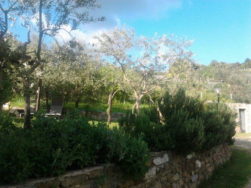 그레베 인 키안티 Agriturismo Poggio All'Olmo 빌라 외부 사진