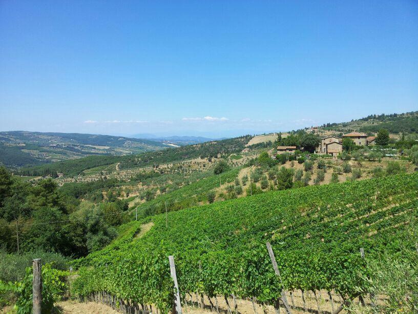 그레베 인 키안티 Agriturismo Poggio All'Olmo 빌라 외부 사진