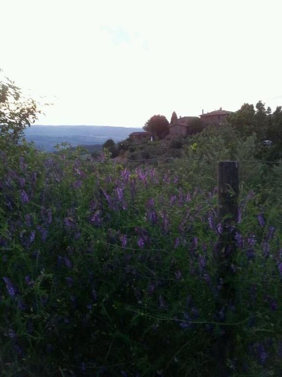 그레베 인 키안티 Agriturismo Poggio All'Olmo 빌라 외부 사진