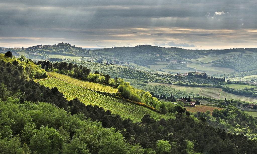 그레베 인 키안티 Agriturismo Poggio All'Olmo 빌라 외부 사진