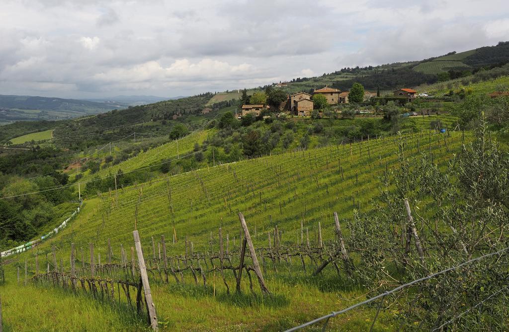 그레베 인 키안티 Agriturismo Poggio All'Olmo 빌라 외부 사진