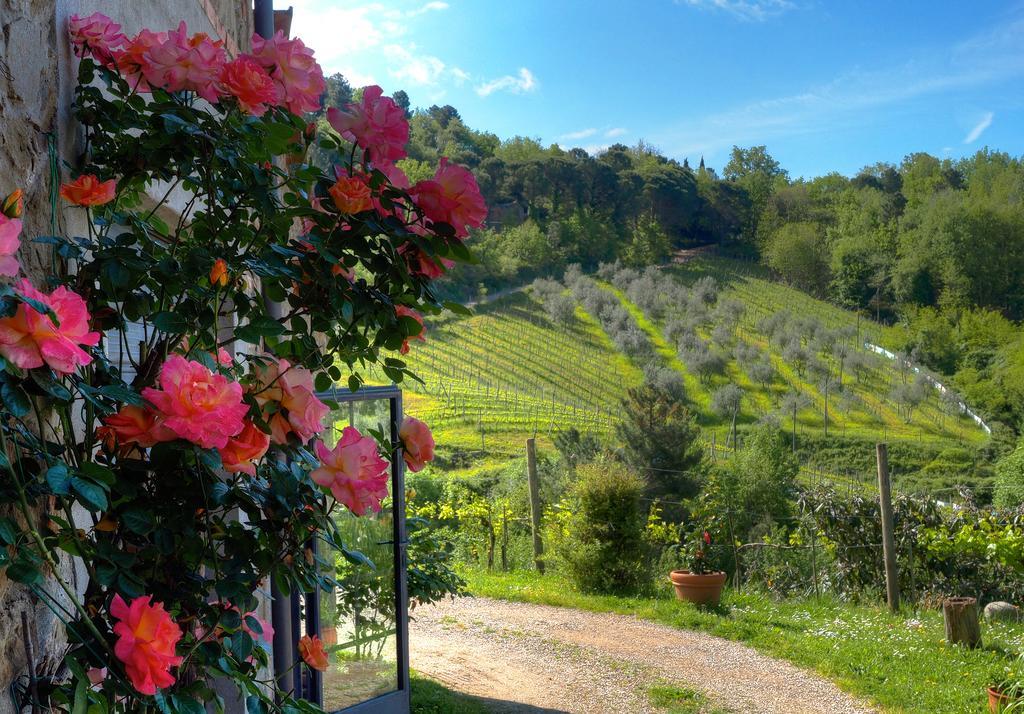 그레베 인 키안티 Agriturismo Poggio All'Olmo 빌라 외부 사진