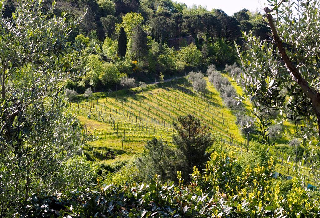 그레베 인 키안티 Agriturismo Poggio All'Olmo 빌라 외부 사진