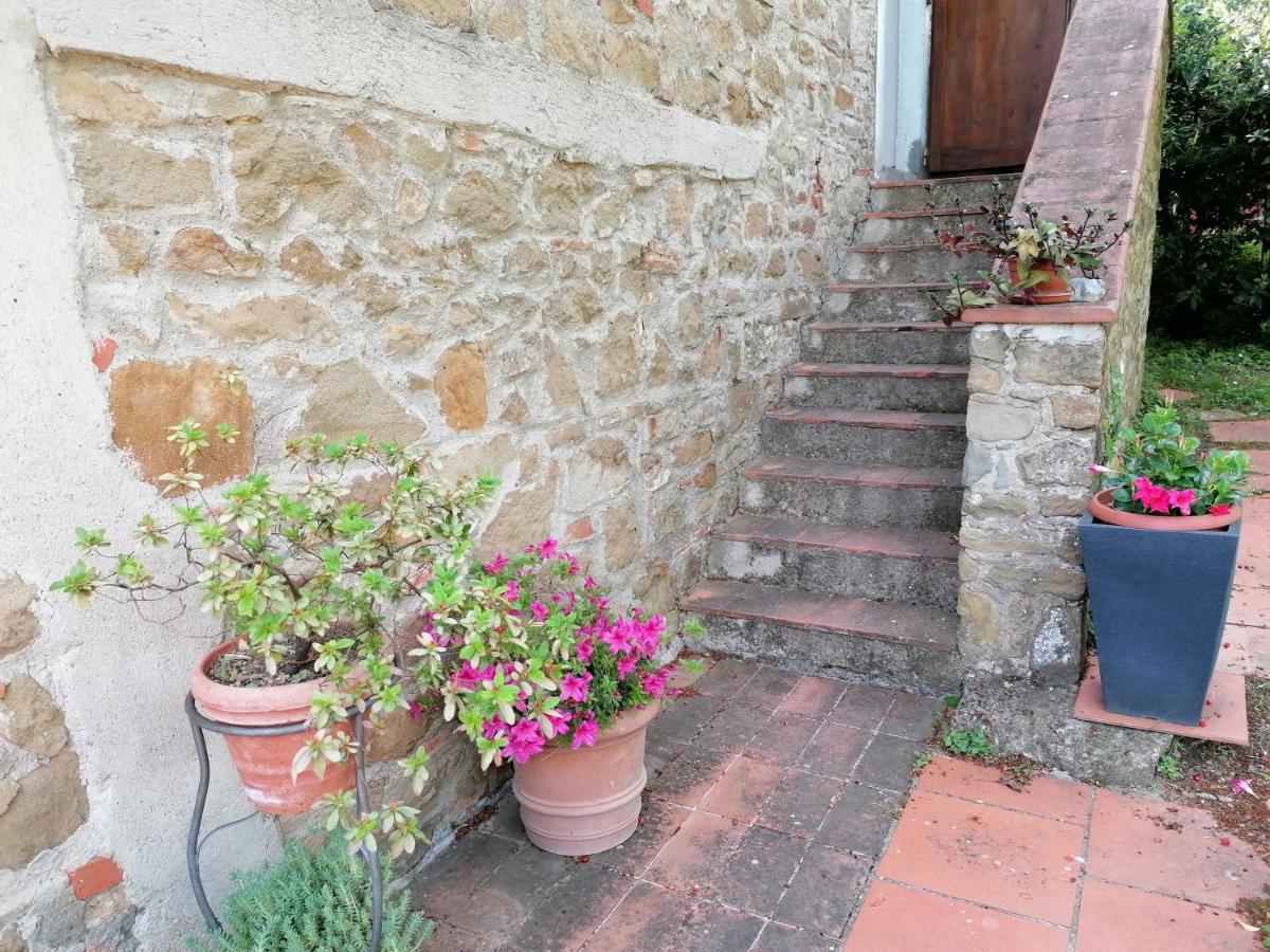 그레베 인 키안티 Agriturismo Poggio All'Olmo 빌라 외부 사진